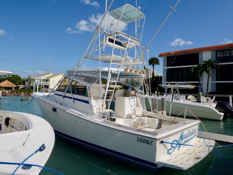 1988 Topaz Sportfisherman