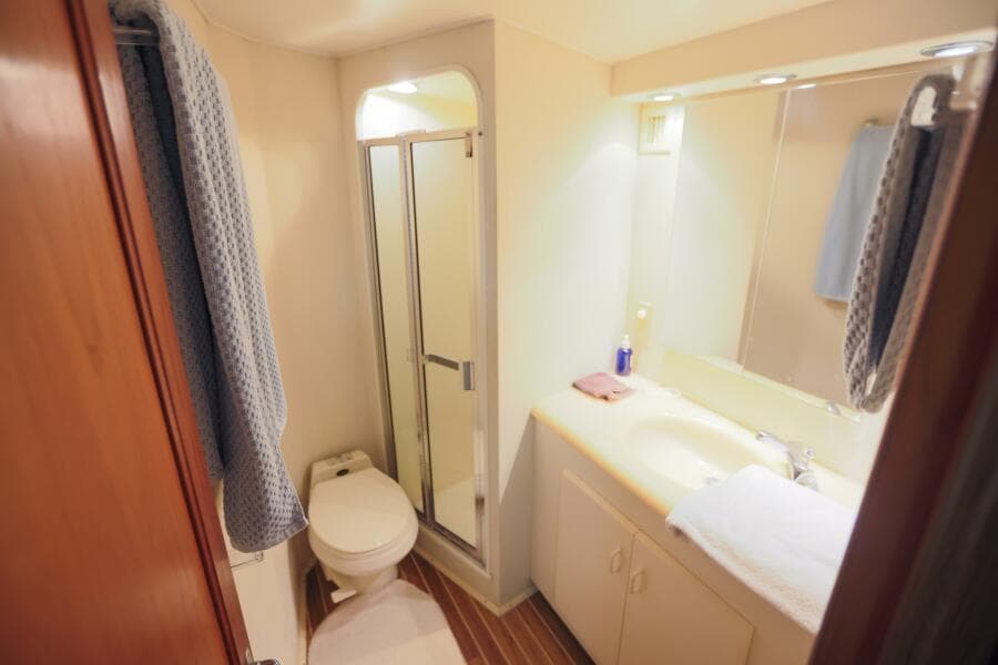 1992 Viking Convertible