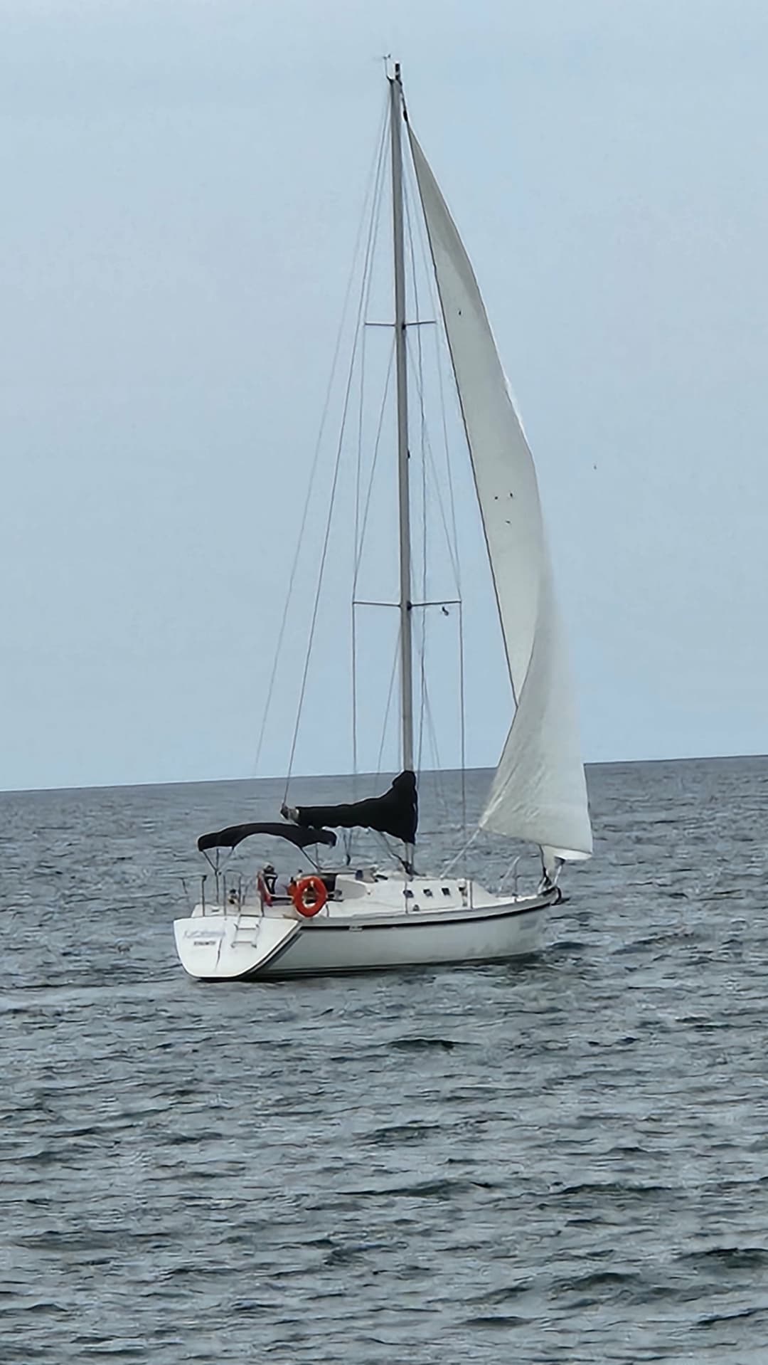 1987 CS 30