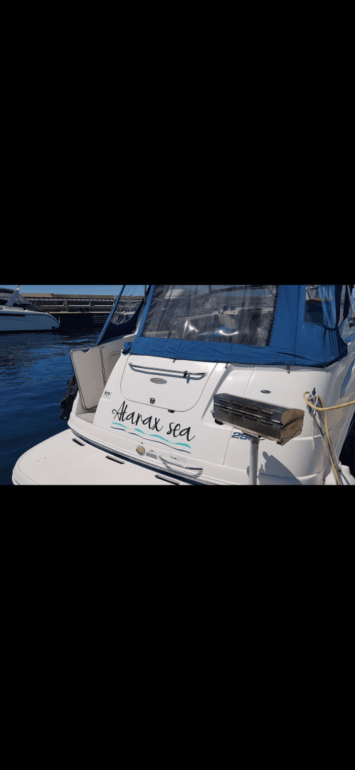 2008 Chaparral  290 Signature