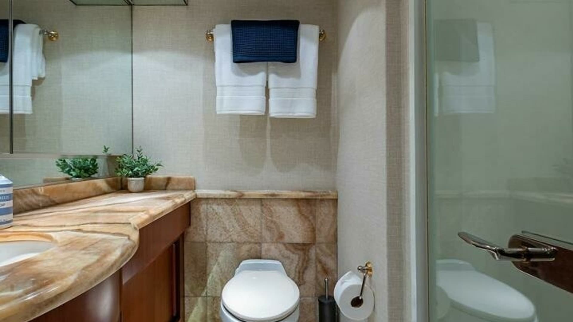 Elegant Guest Bathroom