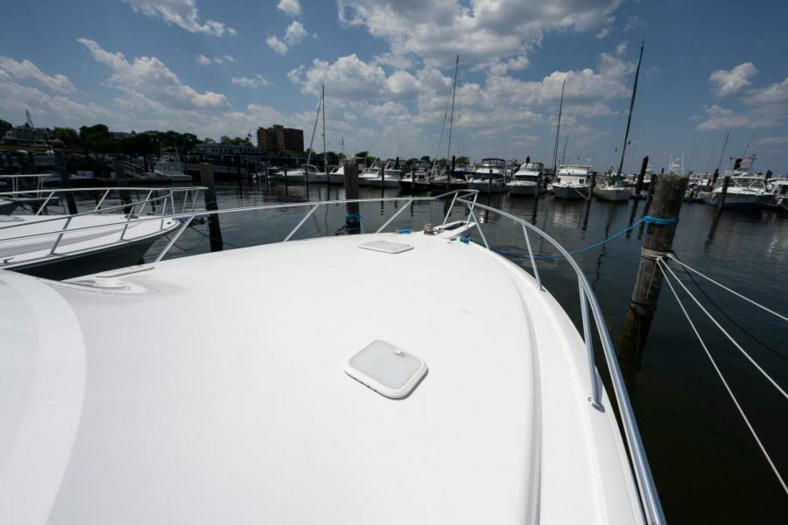 Viking 42 - Drop'Em - Bow