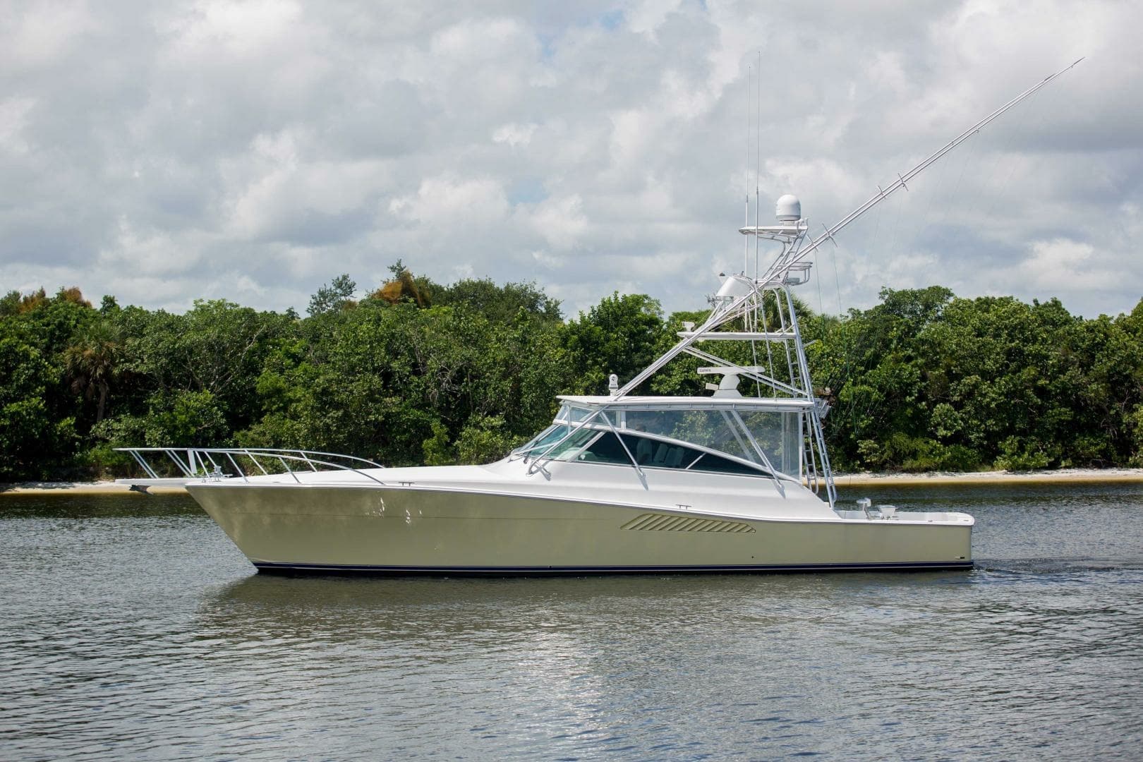 Viking 50 - Tiger Six - Exterior Profile