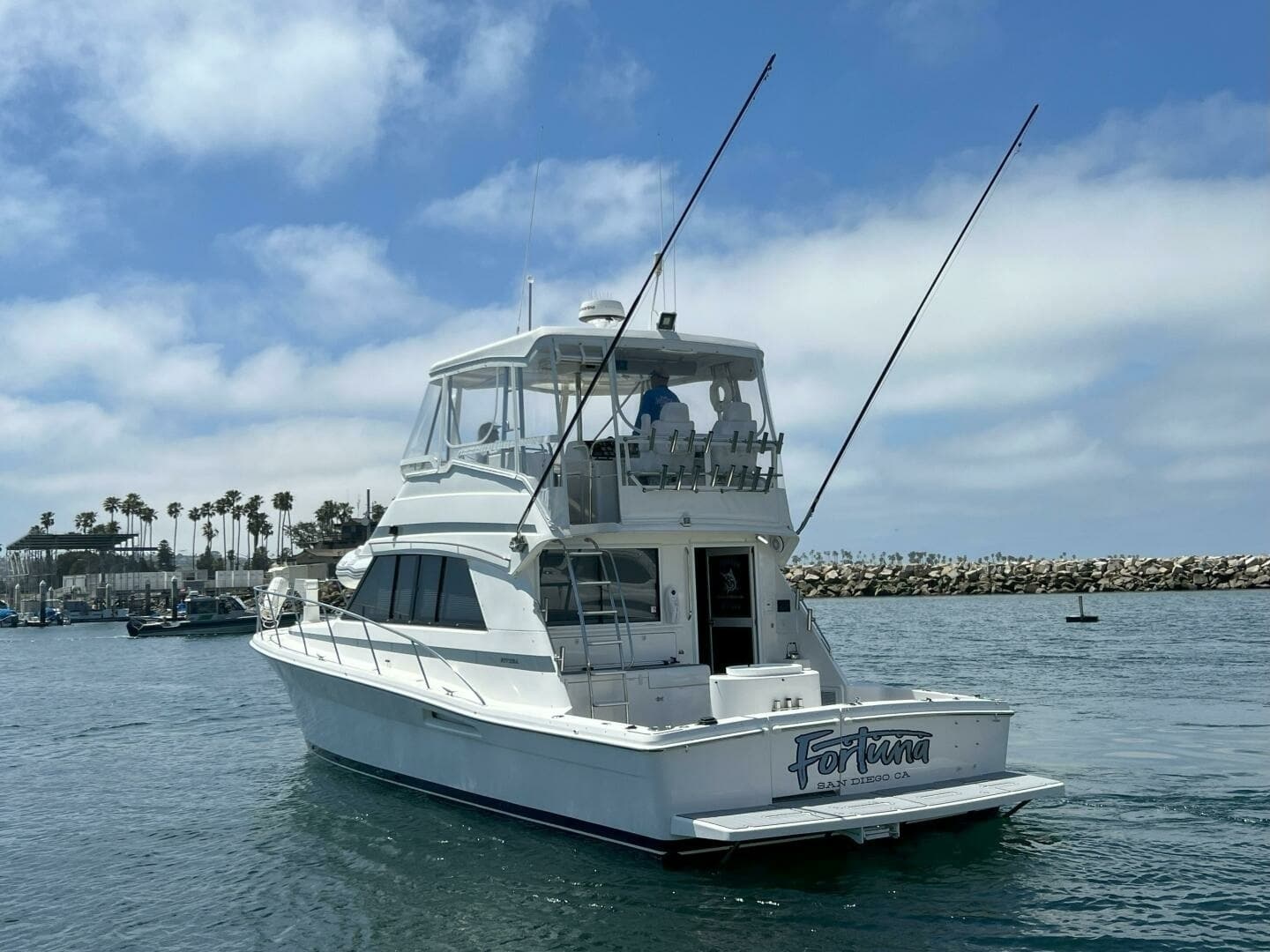 Aft View with Flybridge and Cockpit
