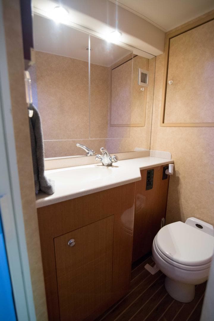 Viking 50 - Tiger Six - Guest Head