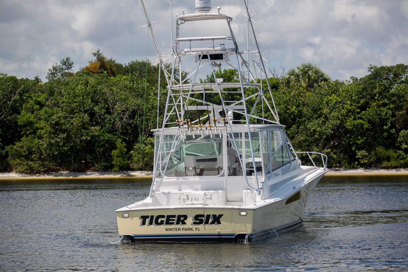 Viking 50 - Tiger Six - Exterior Profile