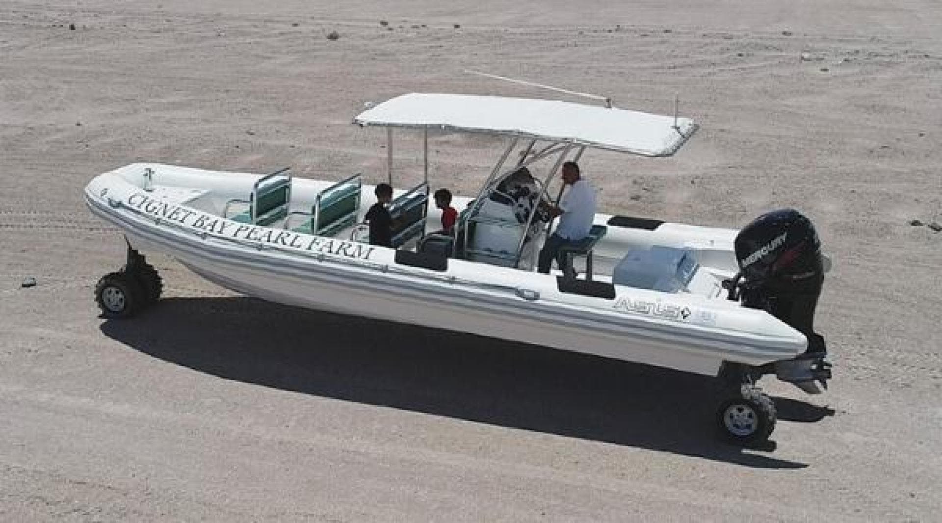 2022 Ocean Craft Marine Transport and Tour 9.5M