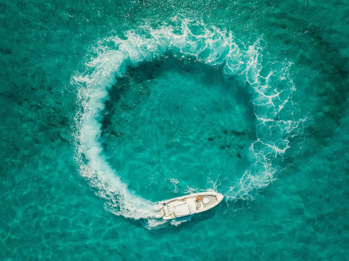 2019 Everglades 355 CC