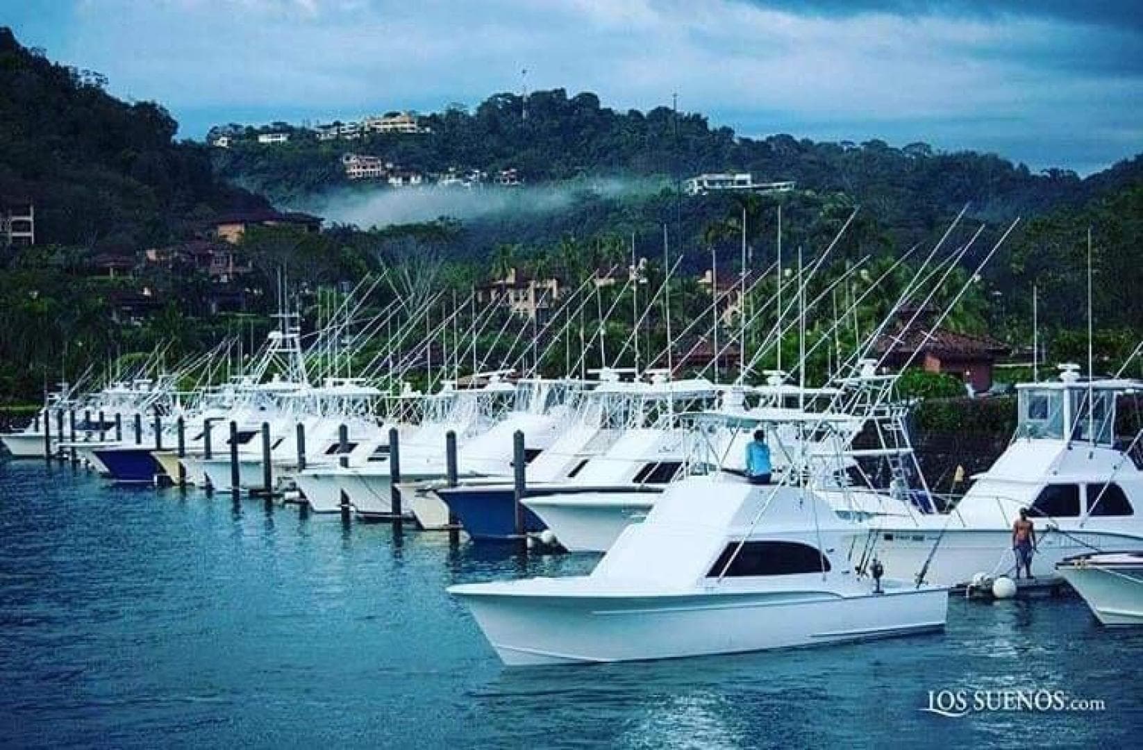 1984 Sunny Briggs Custom Carolina