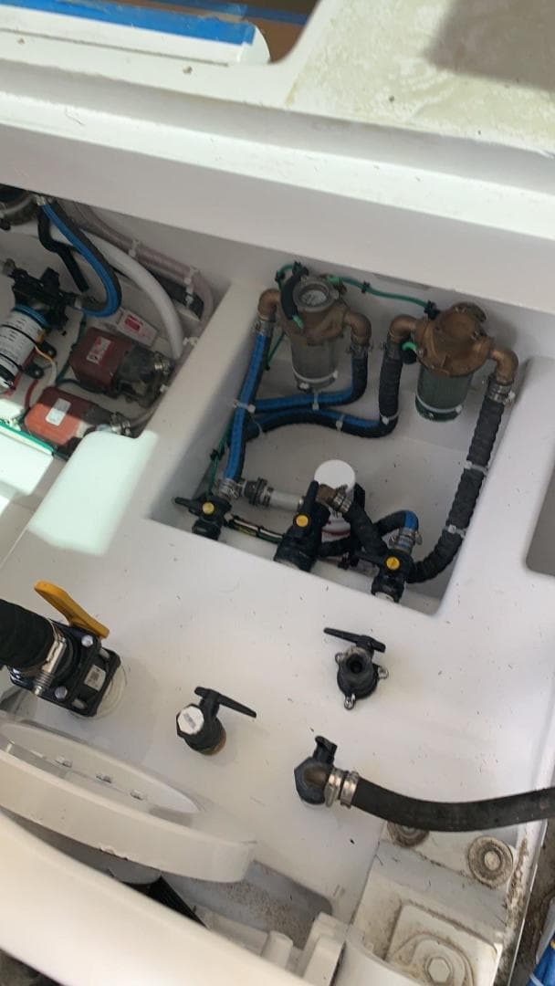 1984 Sunny Briggs Custom Carolina