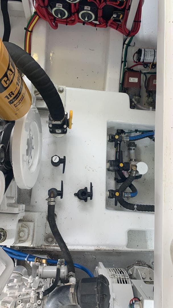 1984 Sunny Briggs Custom Carolina