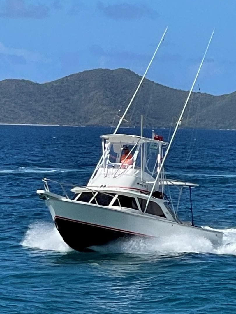 1964 Bertram 31 Sportfisher