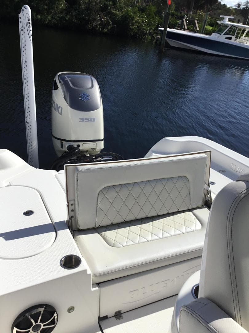 2019 Blue Wave Pure Hybrid