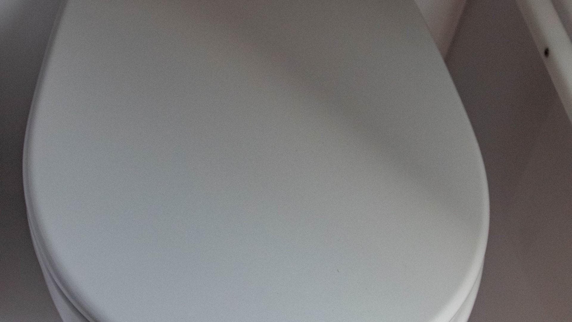 2023 Alfastreet Marine 23 Open Electric