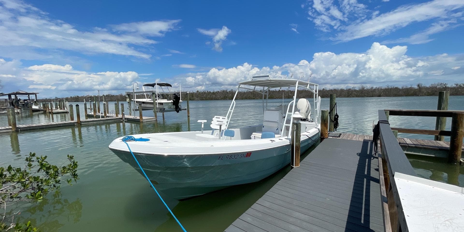 2006 Andros Tarpon 26