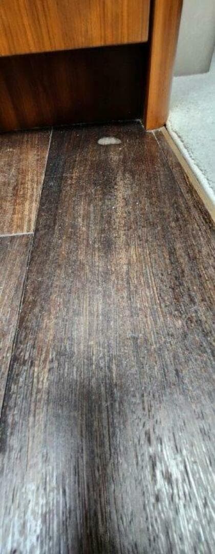 2018 Sunseeker Predator