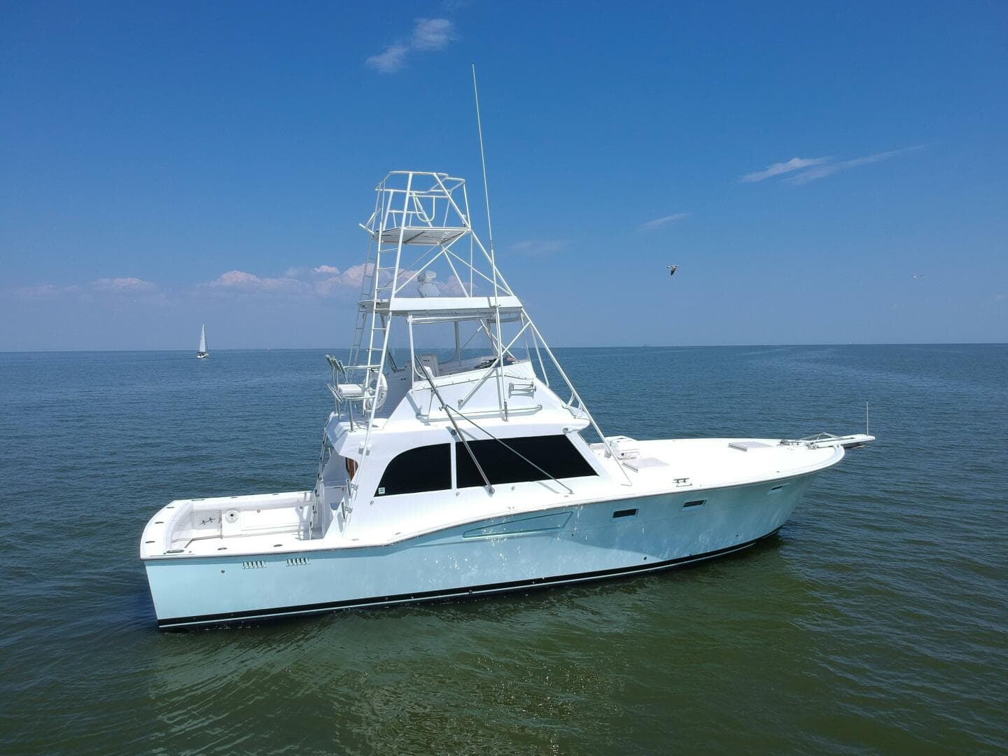 1979 Trojan 45 Convertible Hook'em
