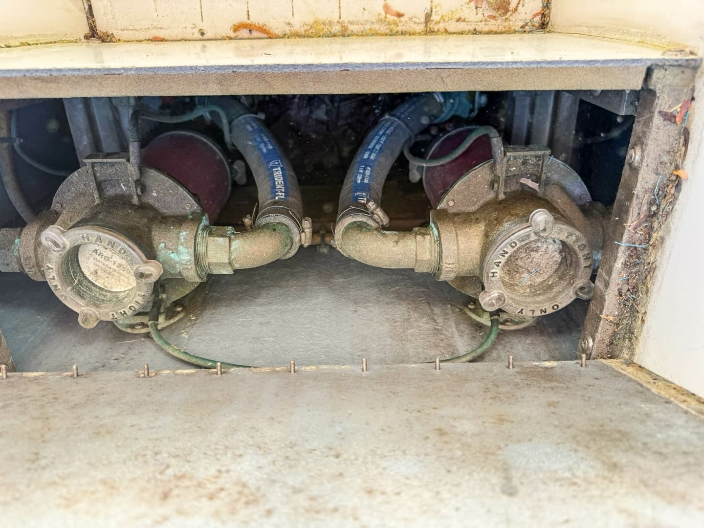 Raw water engine intake