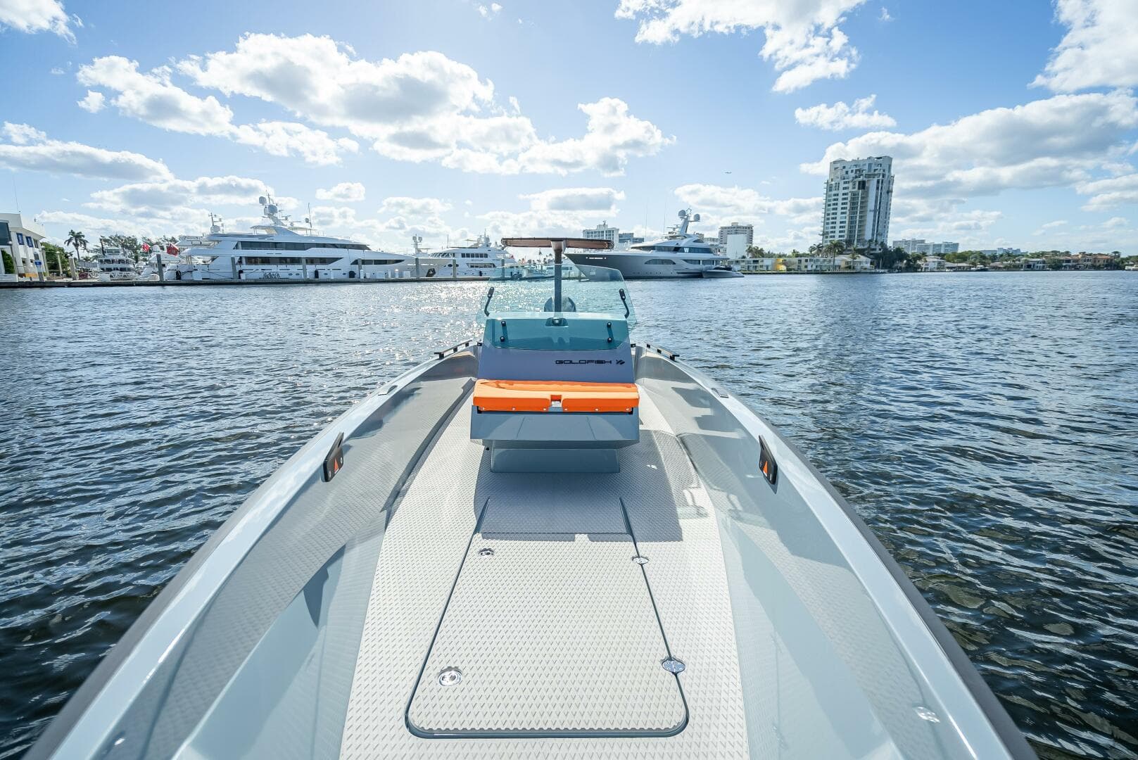 2024 Goldfish 28 Tender