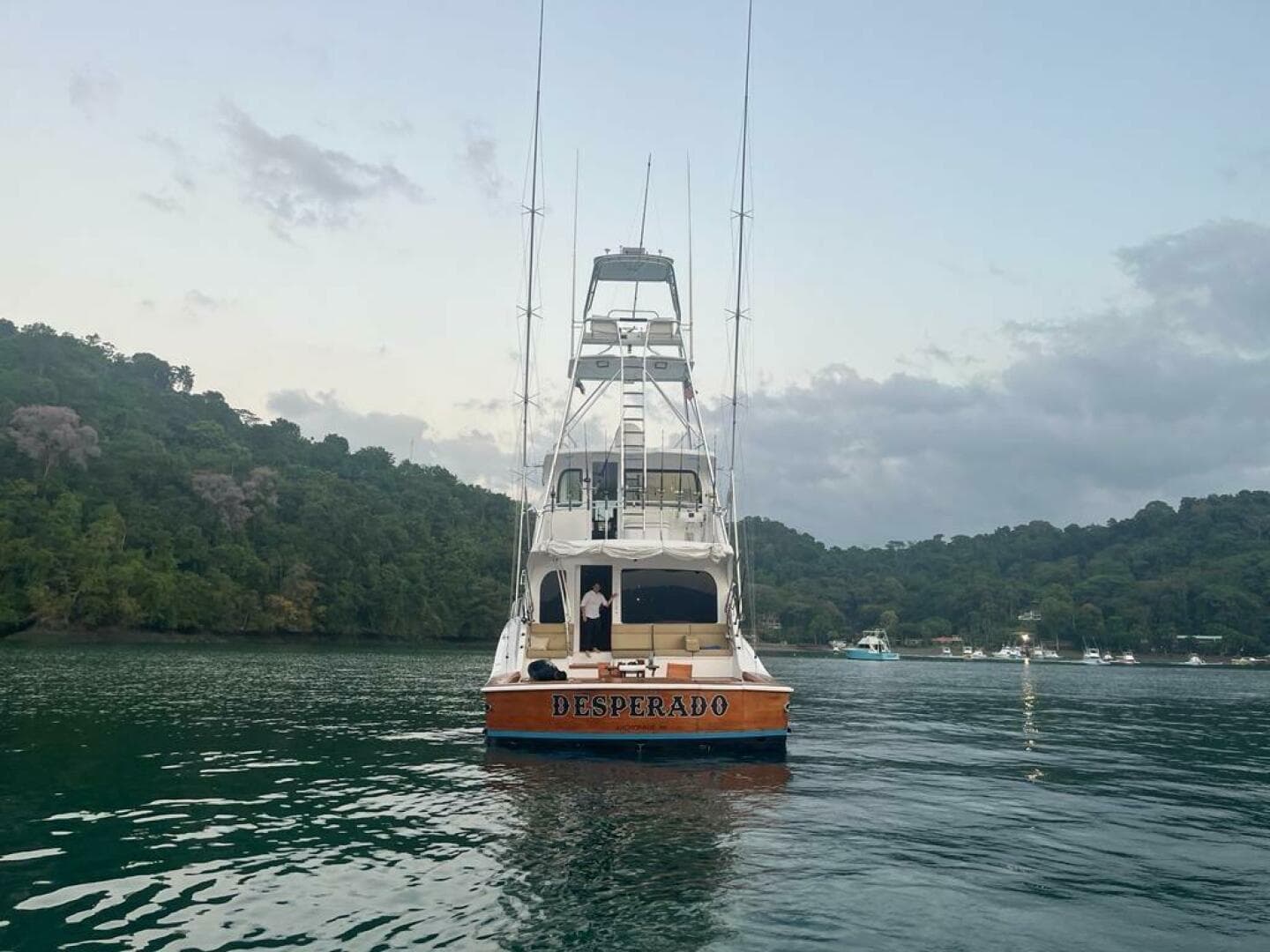 2008 77 Enclosed Bridge "Desperado"-Aft View