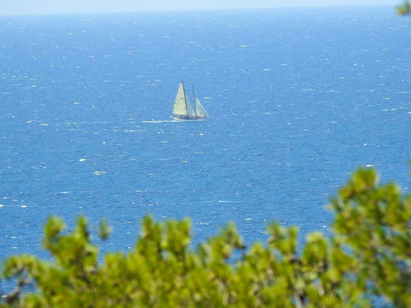 1938 Grassi Shipyard 