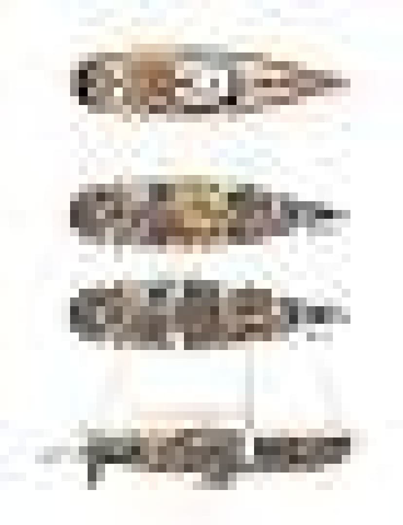 2011 Alia Yachts Warwick 82 LK