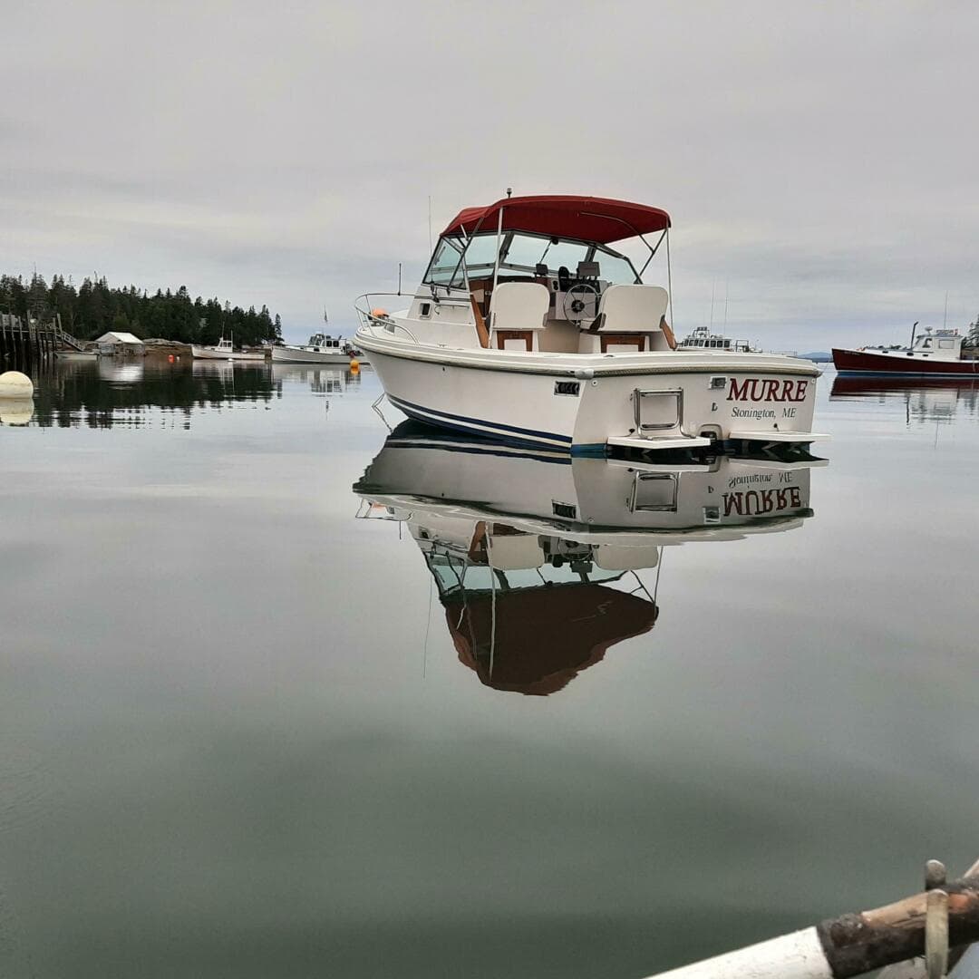 1988 Limestone Express Cruiser