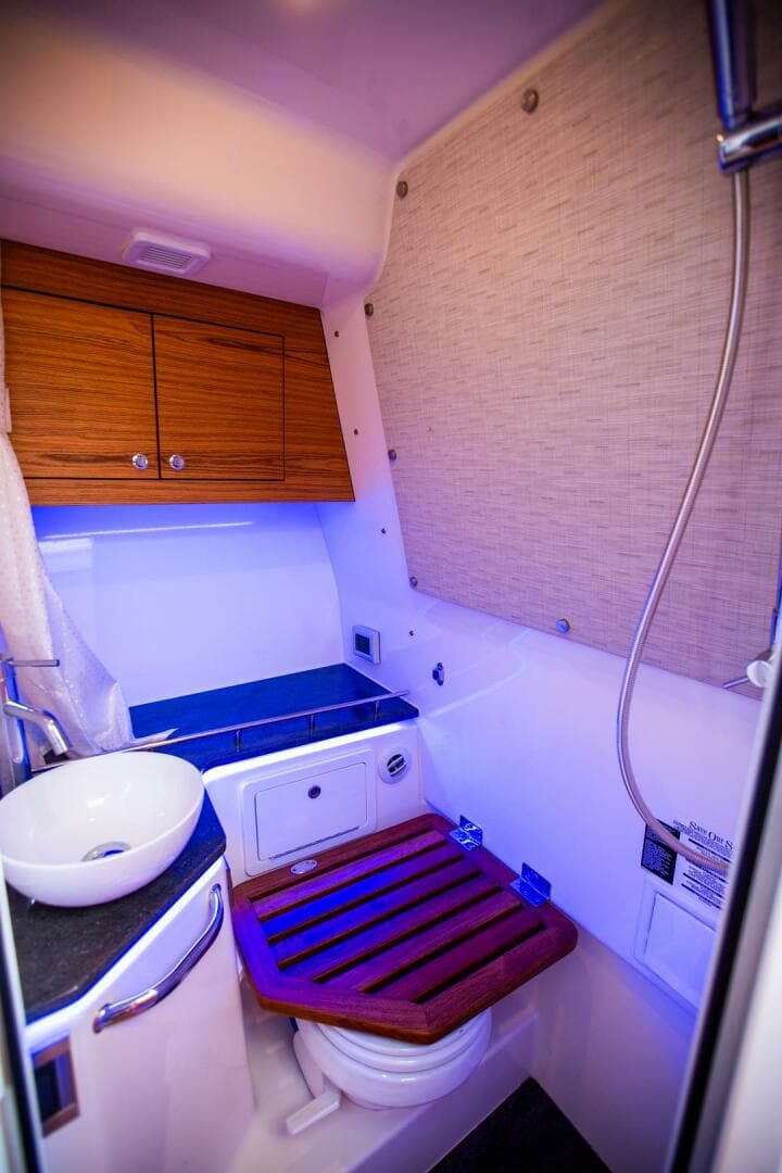 2019 Boston Whaler 380 Realm