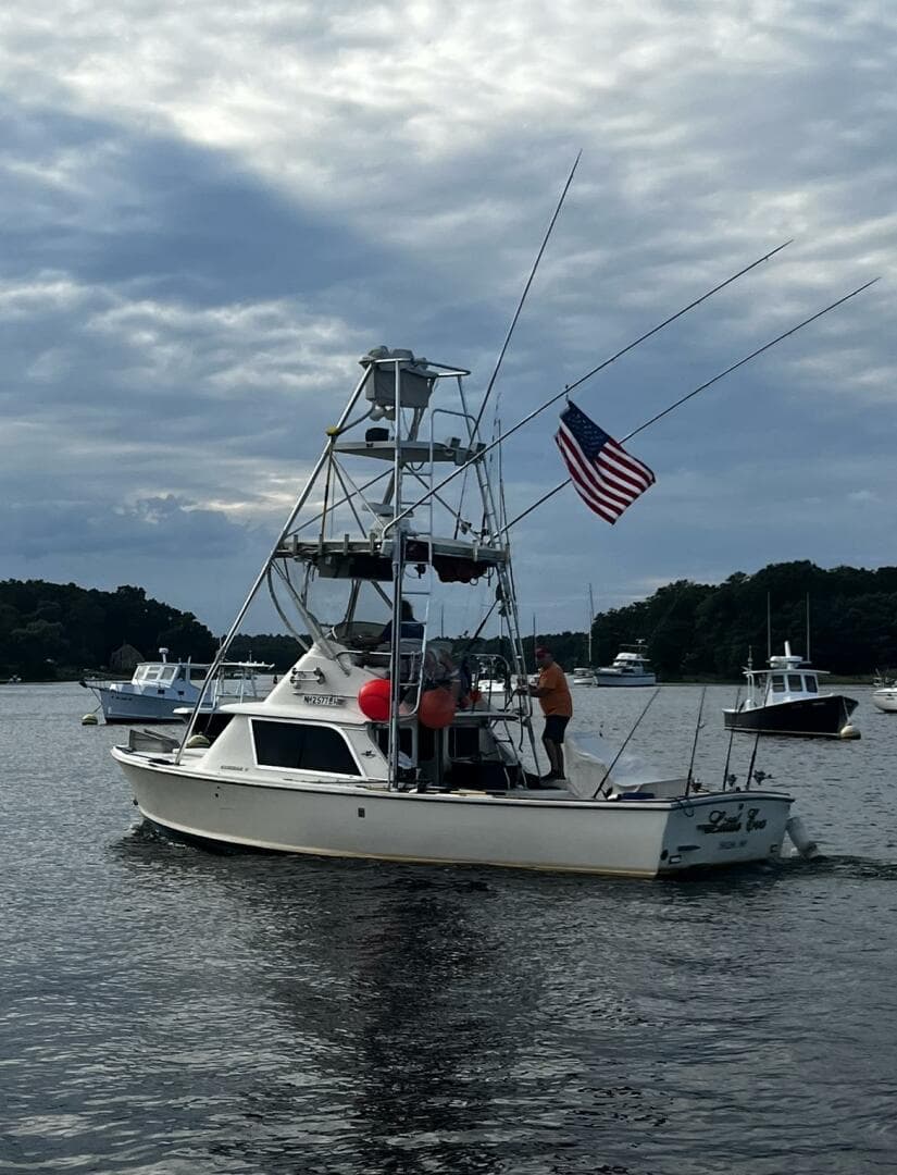 LITTLE EVA_Portside Cruising