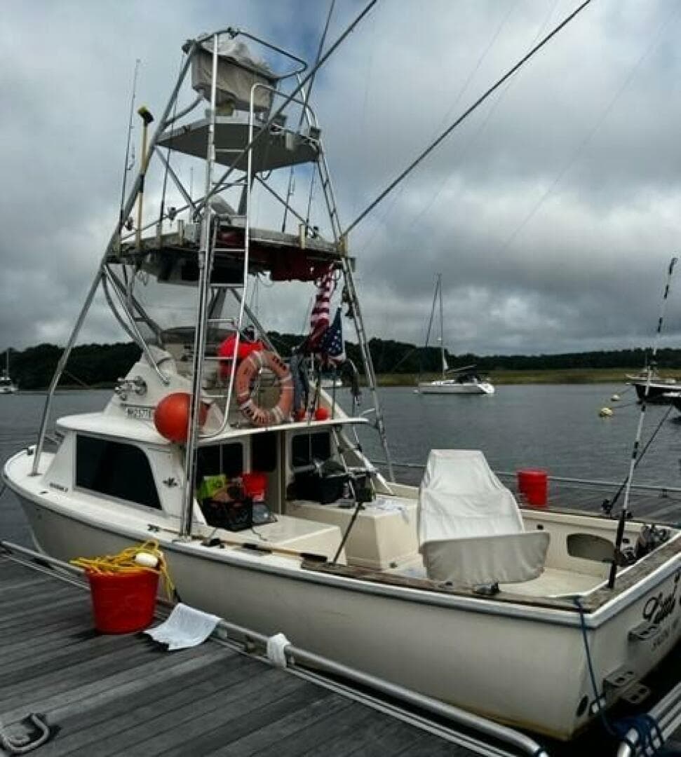 LITTLE EVA_Dockside Port