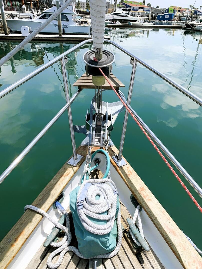 1979 Litton Perry 41