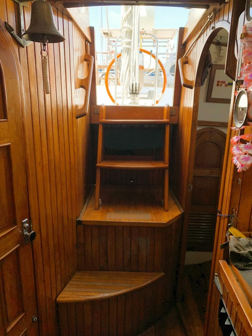 1979 Litton Perry 41