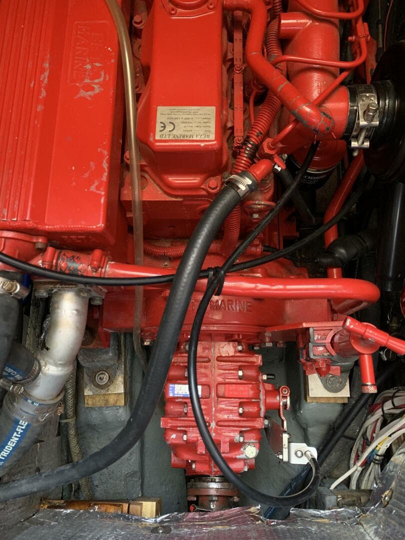 1979 Litton Perry 41