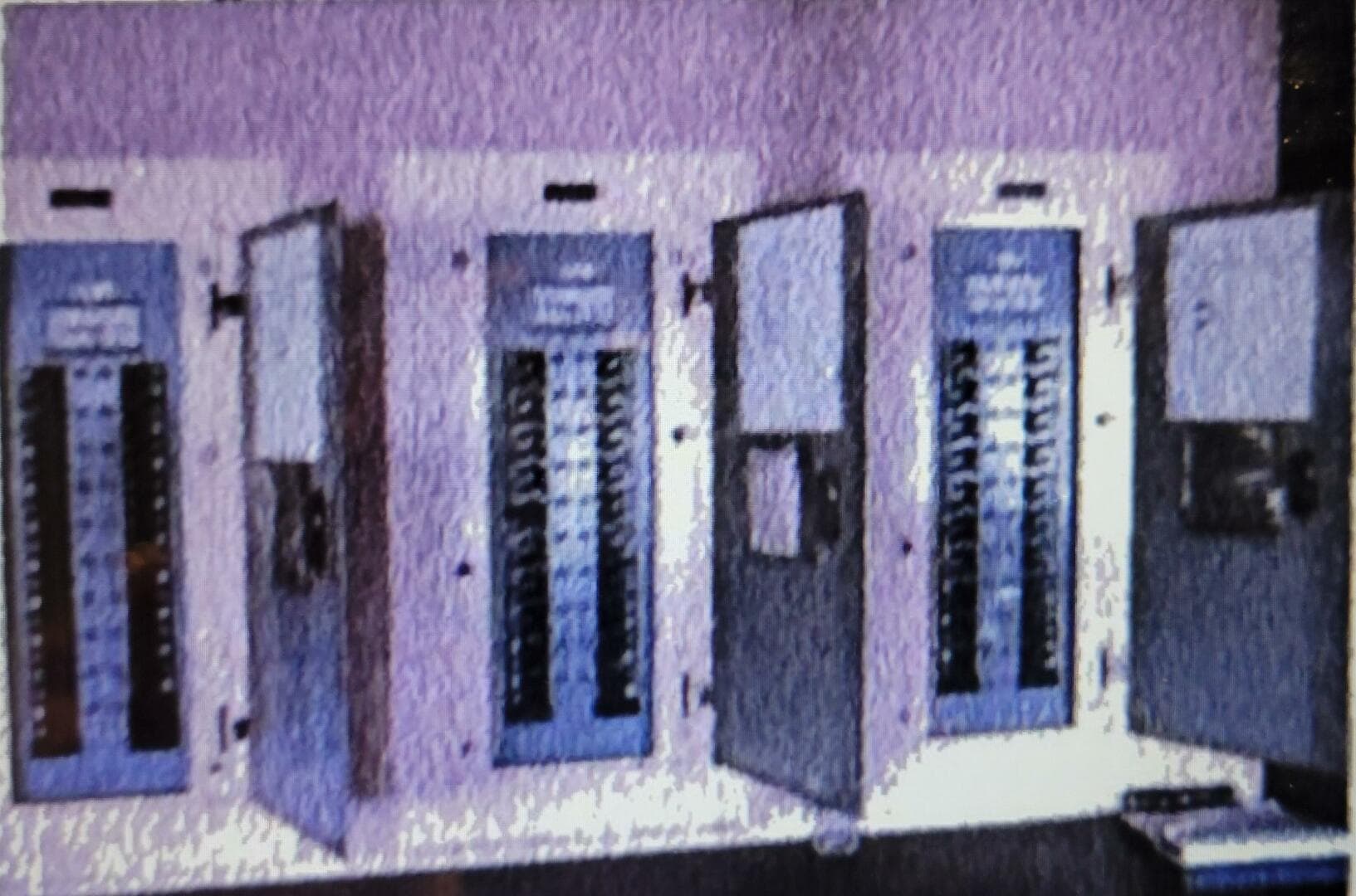 1985 Custom Dinner/Excursion/Passenger