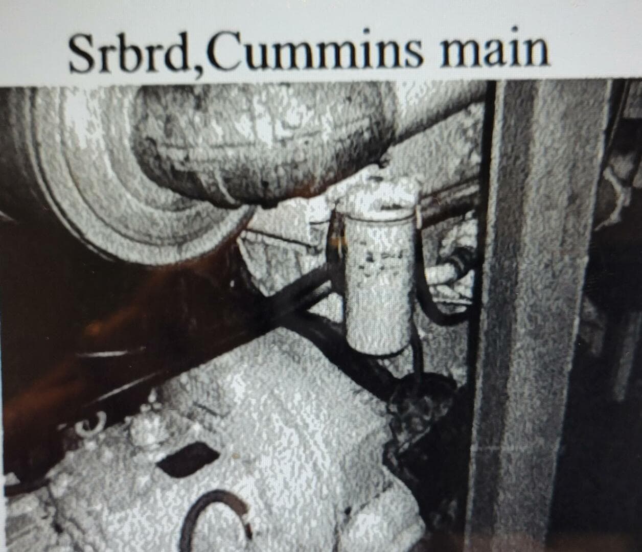 1985 Custom Dinner/Excursion/Passenger