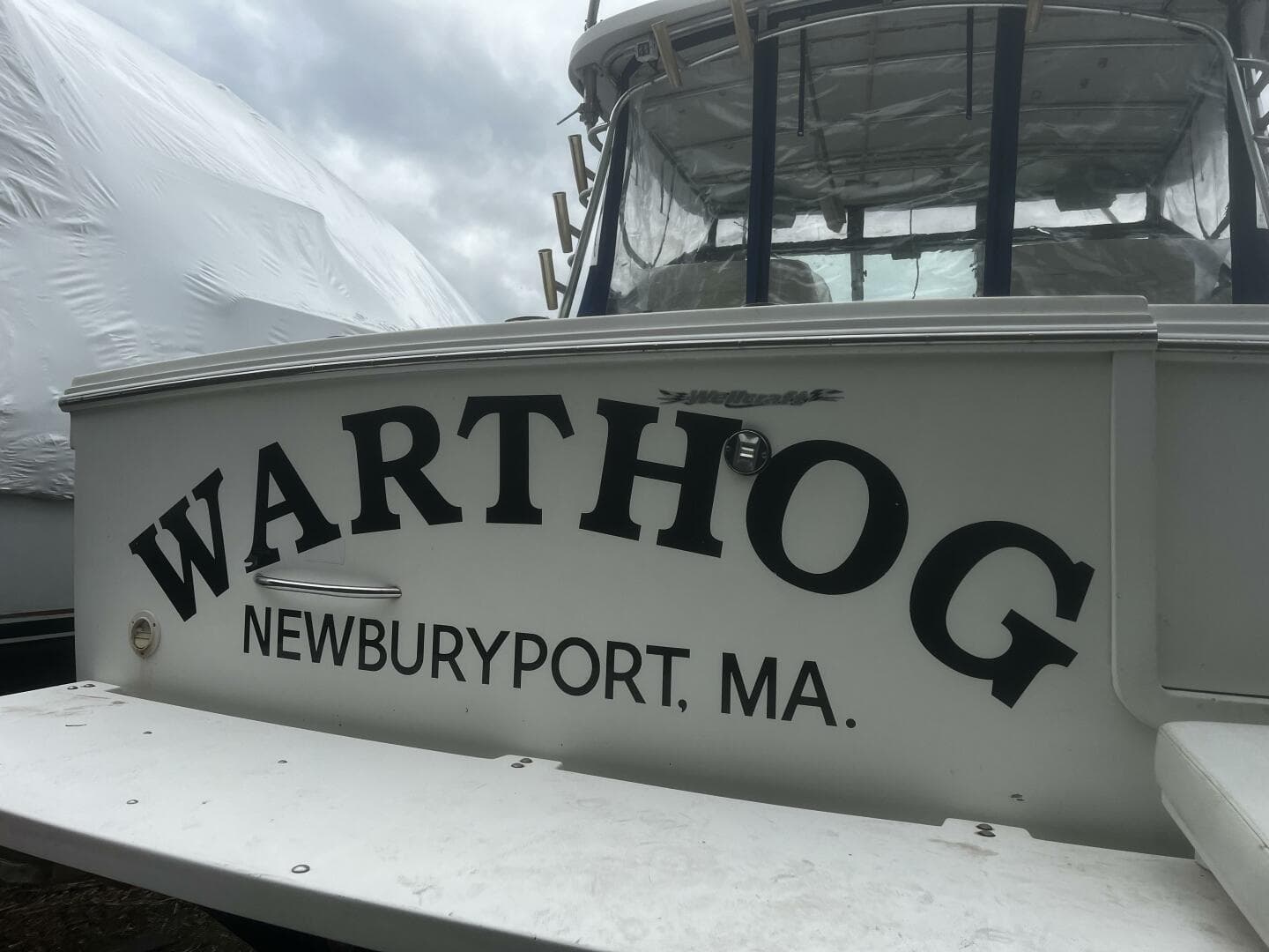 WARTHOG_Transom W Swim Platform