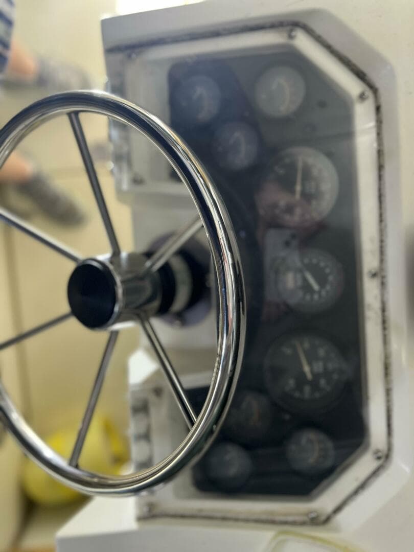 Steering wheel and gauges