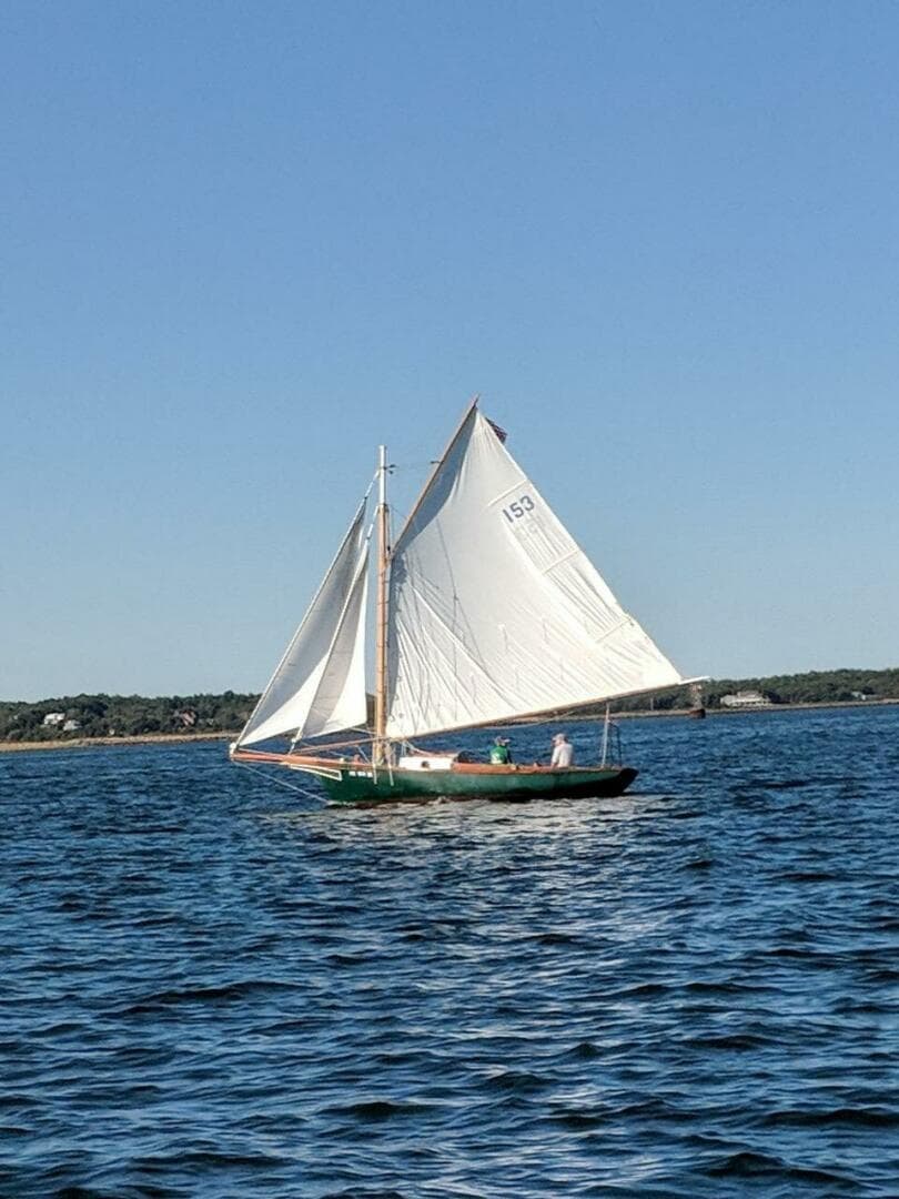 Senility U_sail with 2 headsails