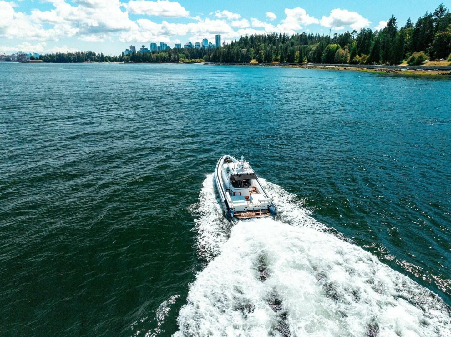 2009 Protector Targa