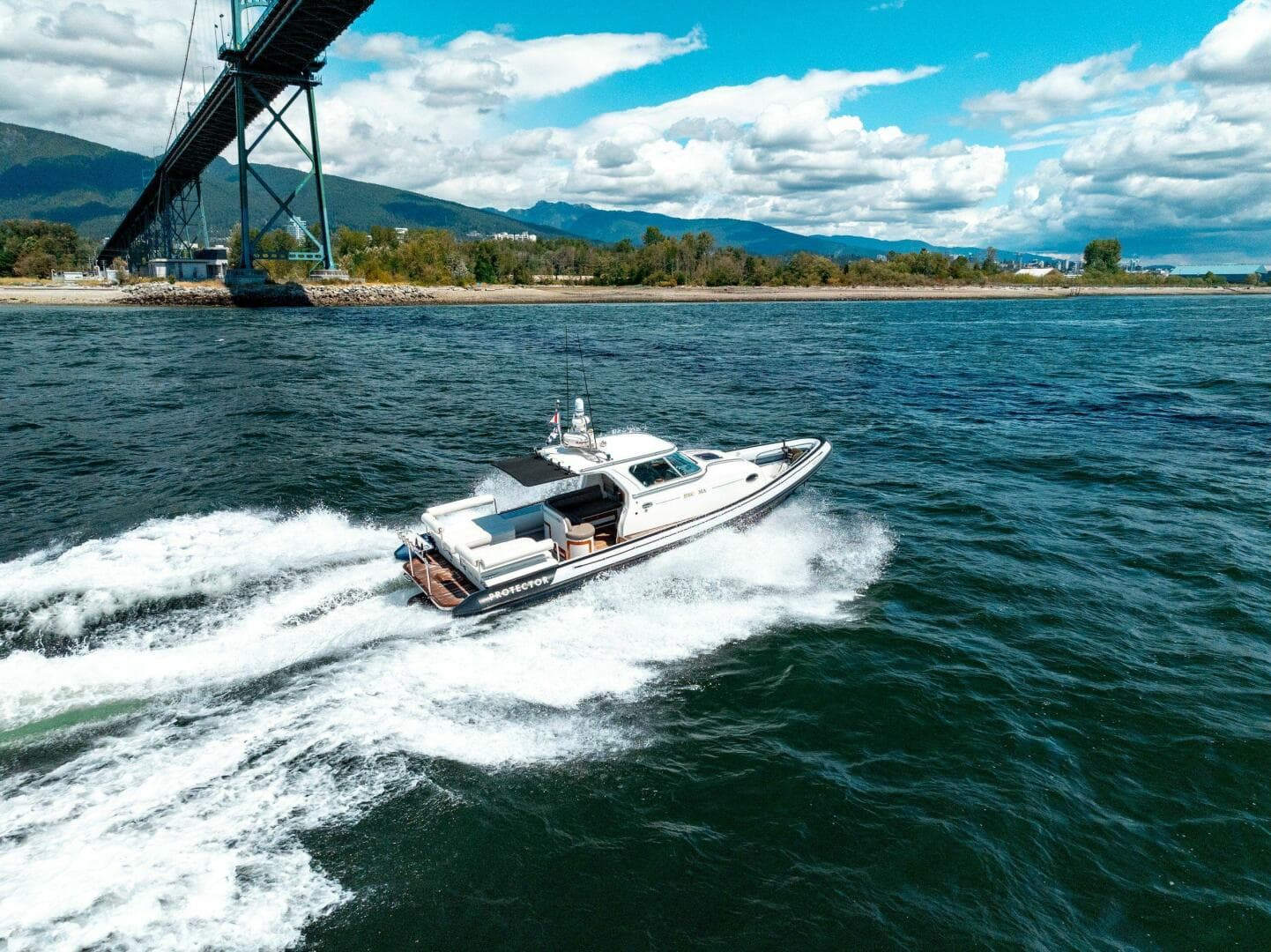 2009 Protector Targa