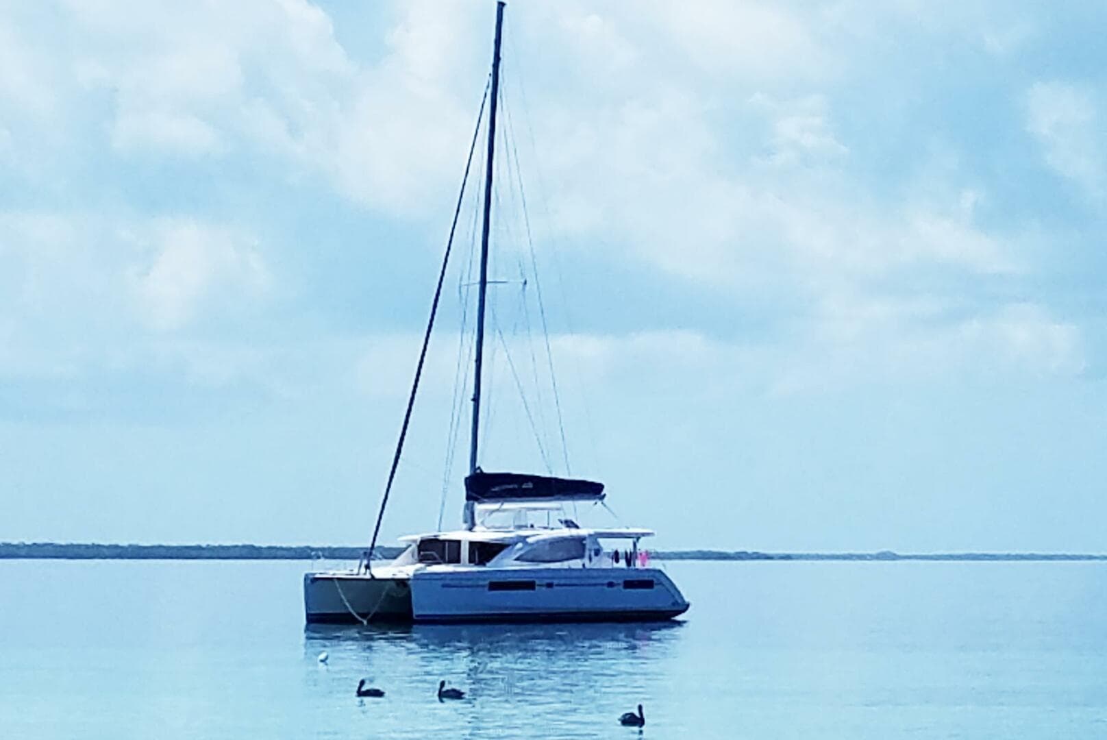 2015-leopard-48-sail-9398037-20240520114503184-1_XLARGE.jpg