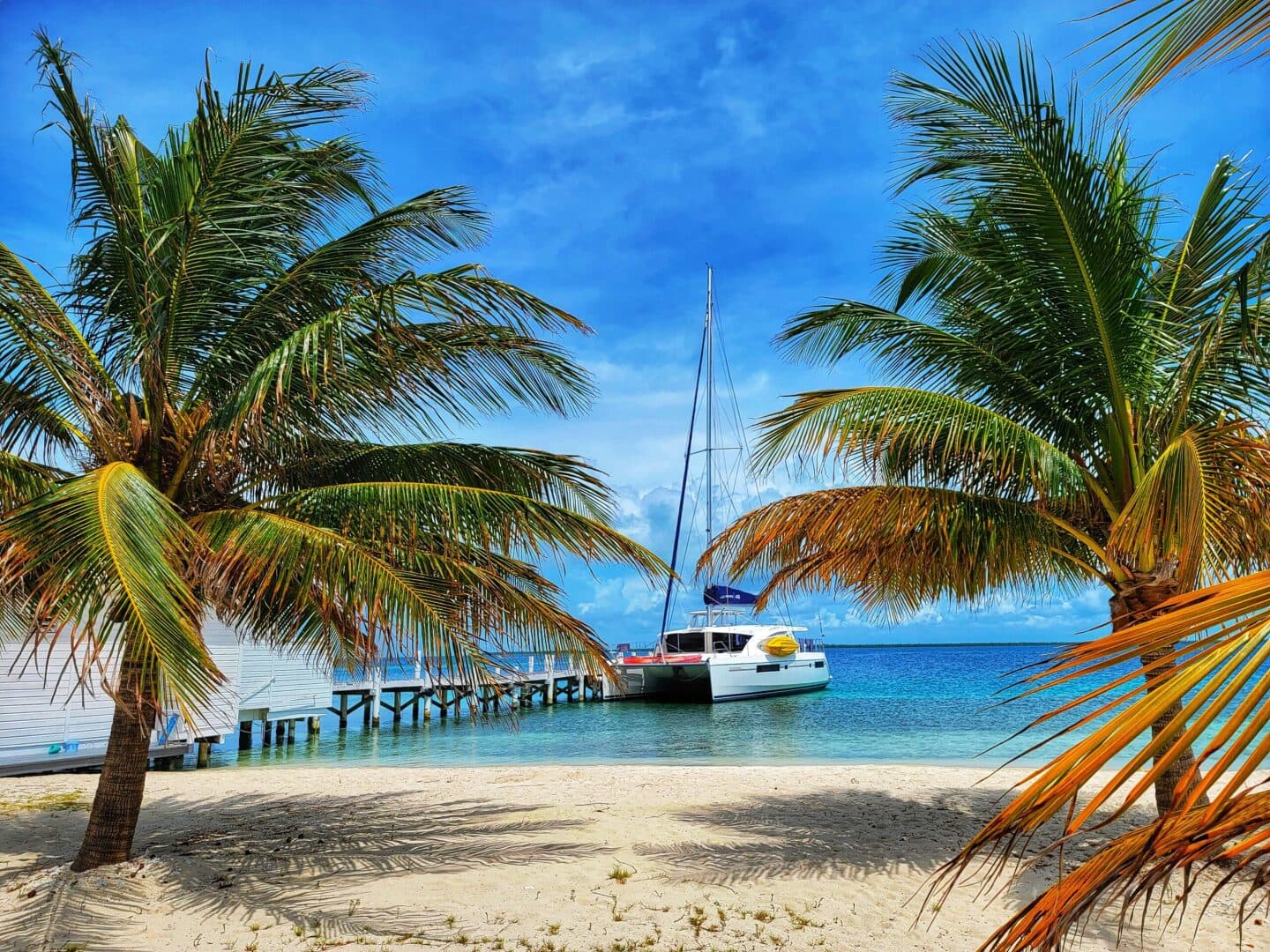 2015-leopard-48-sail-9398037-20240520114611778-1_XLARGE.jpg