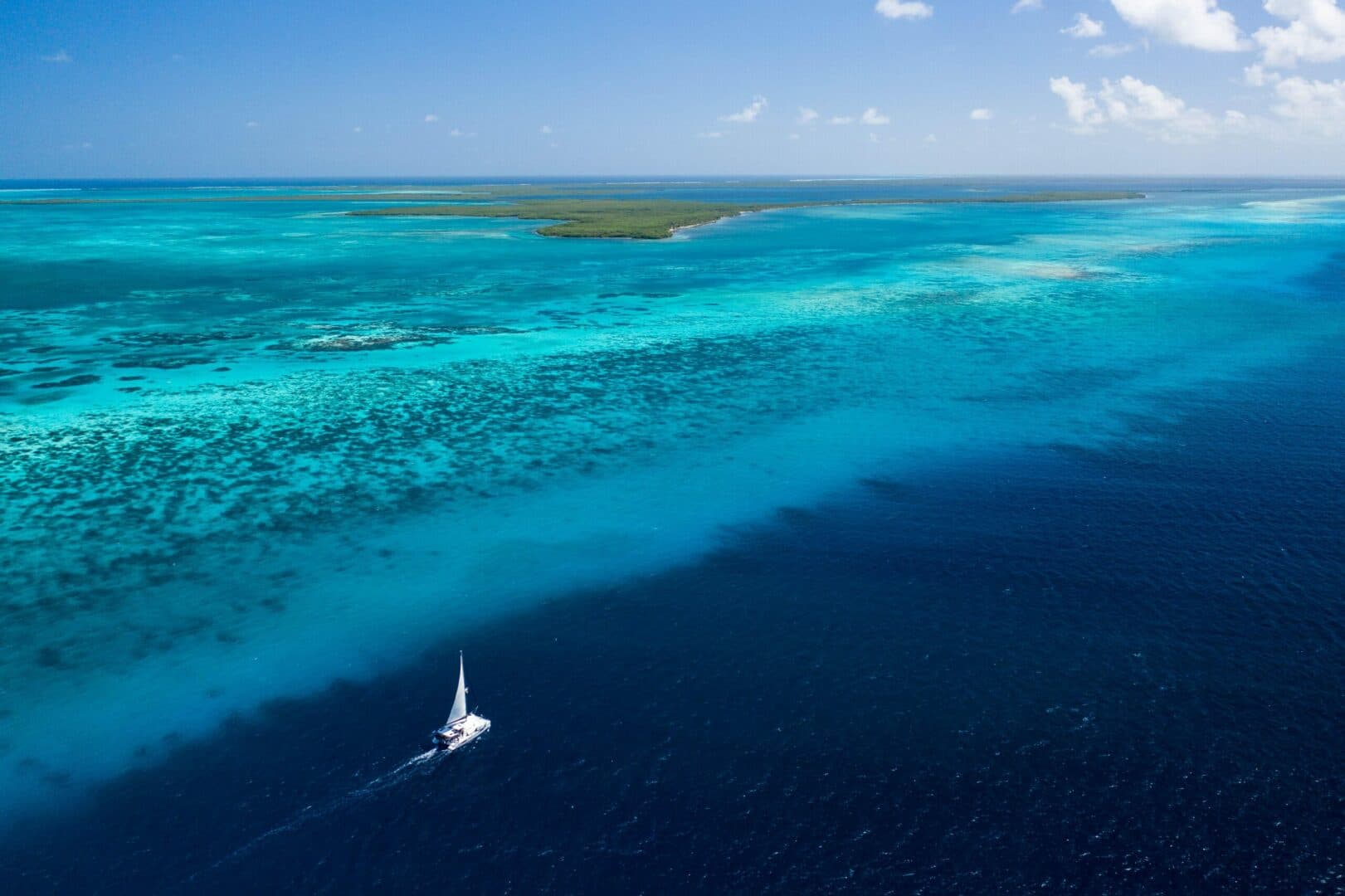 2015-leopard-48-sail-9398037-20240520114453361-1_XLARGE.jpg