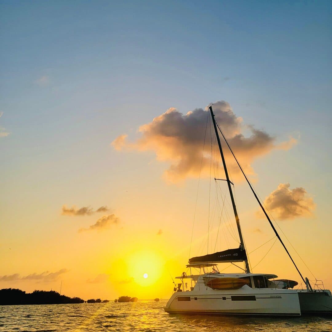 2015-leopard-48-sail-9398037-20240520114600134-1_XLARGE.jpg