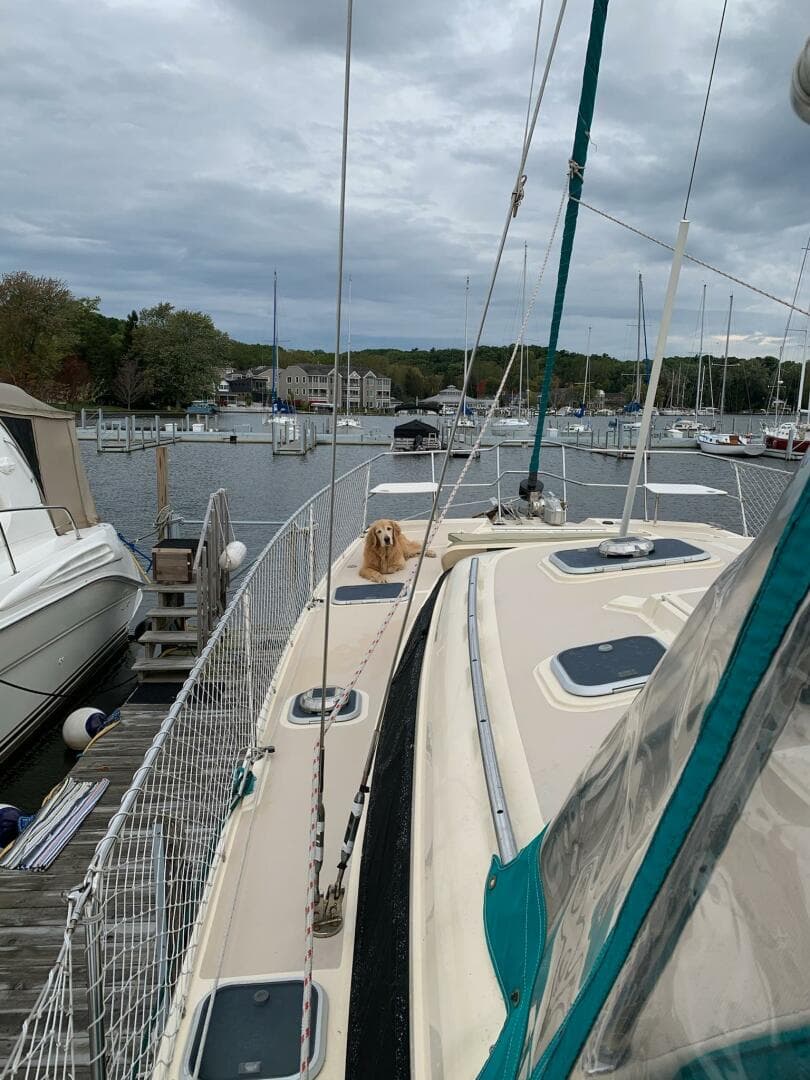 1997-island-packet-packet-cat-sail-9423876-20240613055549610-1_XLARGE.jpg