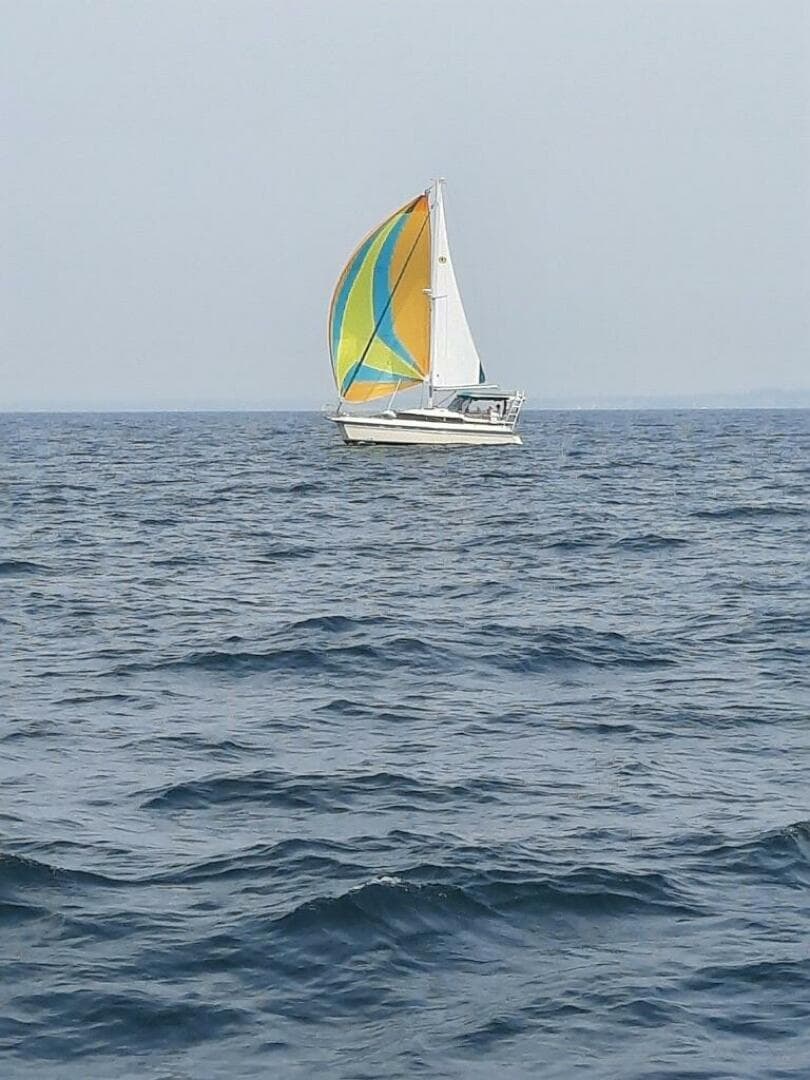 1997-island-packet-packet-cat-sail-9423876-20240613055605657-1_XLARGE.jpg