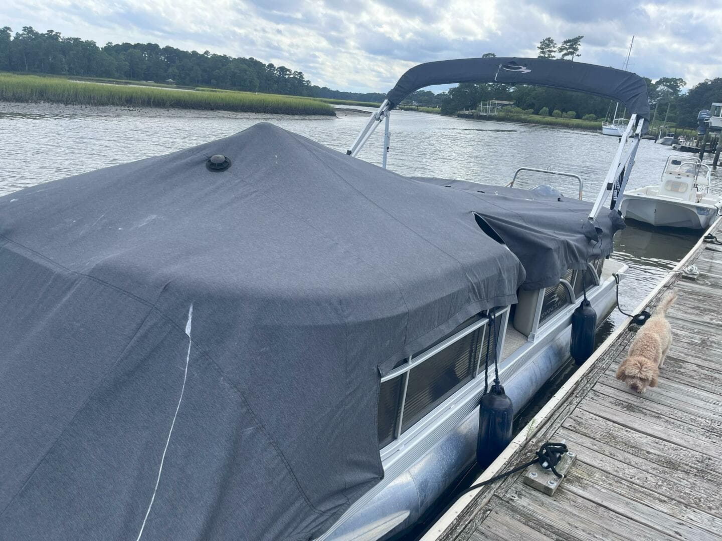 2017 Bennington 22SSRX