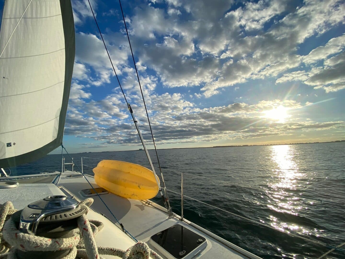 1999-st-francis-44-mkii-sail-9535775-20240906060030303-1_XLARGE.jpg