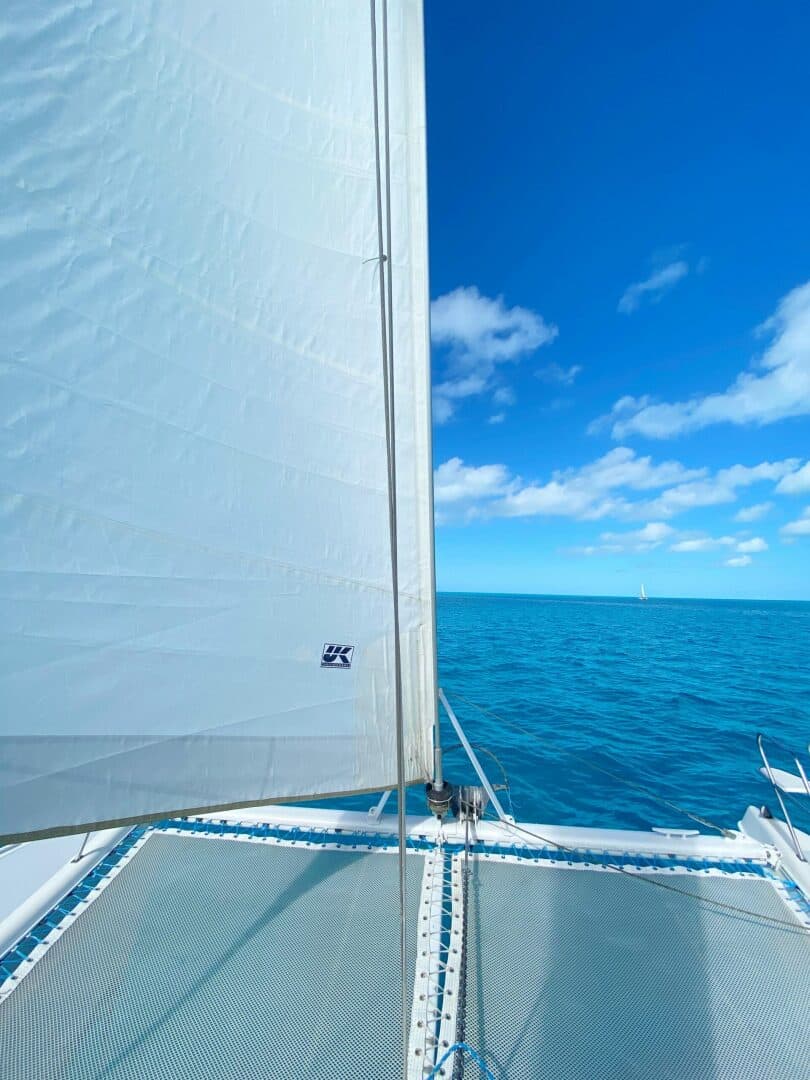 1999-st-francis-44-mkii-sail-9535775-20240906052511916-1_XLARGE.jpg