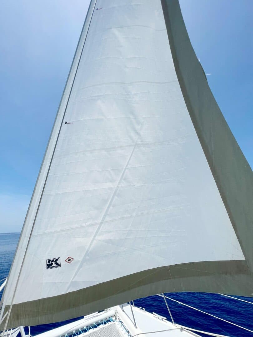 1999-st-francis-44-mkii-sail-9535775-20240906052505836-1_XLARGE.jpg